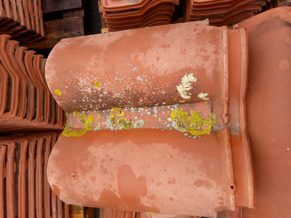 Tuile Romane 18F Lafarge Marseille