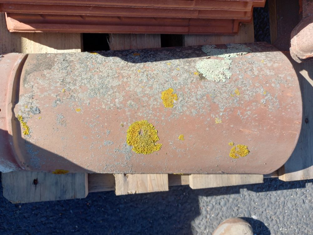 Tuile Romane 18F Lafarge Marseille