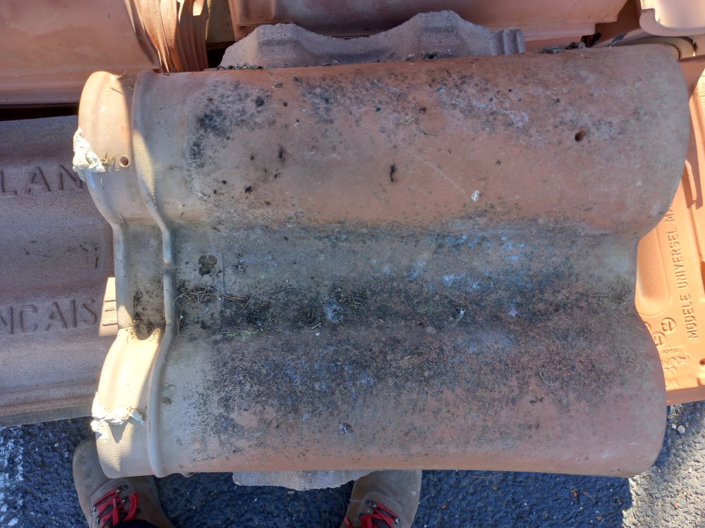 Tuile Abeille F LAFARGE MARSEILLE