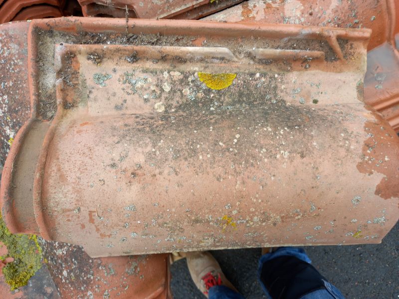 Tuile Tolosa Canal 10